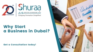 Why Start a Business in Dubai