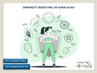 Want to improving Immunity Boosting in Himalayas - Cottage Nirana
