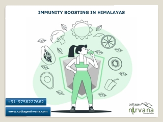 Rehabilitation clinic for Immunity Boosting in Himalayas - Cottage Nirvana