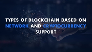 Types of blockchain based on Network and Cryptocurrency support
