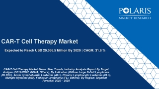 CAR-T Cell Therapy Market