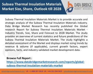 Subsea Thermal Insulation Materials Market Size, Share, Outlook till 2028