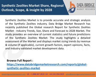 Synthetic Zeolites Market Share, Regional Outlook, Scope, & Insight by 2028