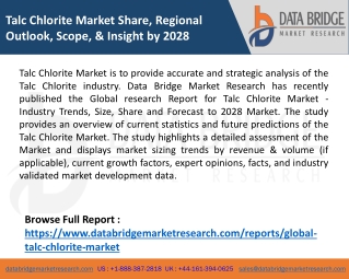 Talc Chlorite Market Share, Regional Outlook, Scope, & Insight by 2028