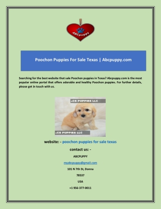 Searching for the best website that sale Poochon puppies in Texas