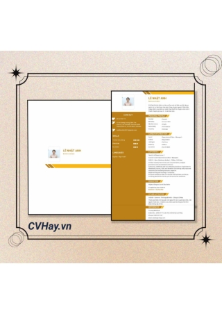 CVHay_business analyst
