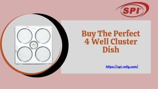 Get  Buy The Perfect 4 Well Cluster Dish At SPI-MFG