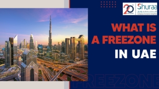 What is a Free Zone in UAE?