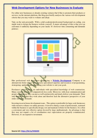 Web Development Options for New Businesses to Evaluate