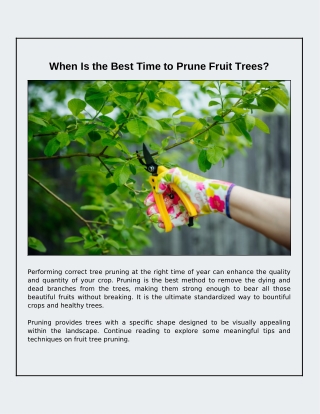 When Should You Prune Your Fruit Trees?