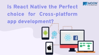 Is React Native the Perfect choice for Cross-platform app development