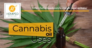 Deep insight on cannabis oil uses