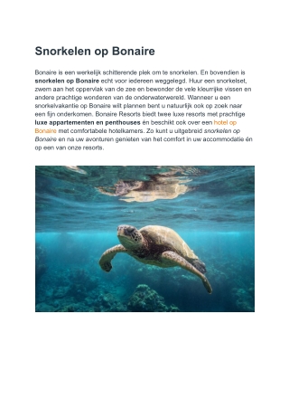 Snorkelen op Bonaire