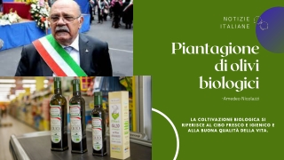 Notizie di tendenza italiane | amedeo nicolazzi
