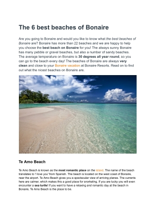 The 6 best beaches of Bonaire