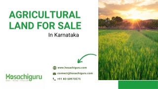 Agricultural Land for Sale | Buy Agriculture Land | Hosachiguru