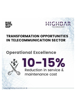 Transformation Opportunity in Telecommunication Sector- Operation Excelence