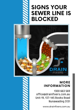 Signs Your Sewer Line is Blocked