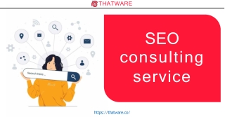 Professional SEO Consulting Services  - Thatware