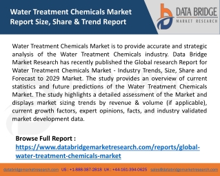 Water Treatment Chemicals Market Report Size, Share & Trend Report