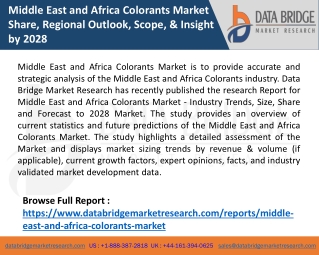 Middle East and Africa Colorants Market Share, Regional Outlook, Scope, & Insight by 2028