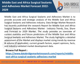 Middle East and Africa Surgical Sealants and Adhesives Market Forecast 2022-2029