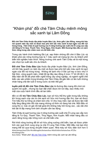 Vẻ đẹp của đồi chè Tâm Châu Bảo Lộc