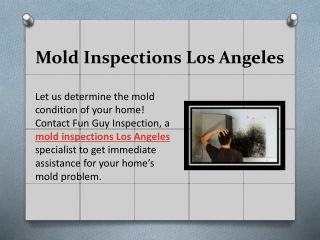 Mold Inspections Los Angeles