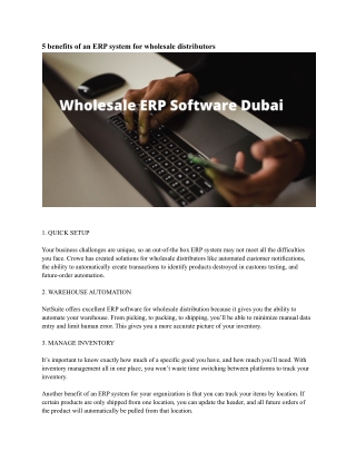 Wholesale ERP Software Dubai