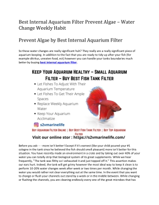 Best Internal Aquarium Filter Prevent Algae – Water Change Weekly Habit