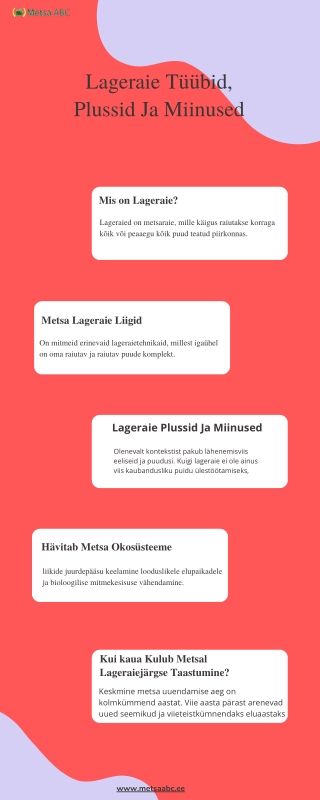 Lageraie tüübid, plussid ja miinused