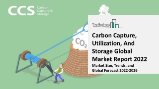 Carbon Capture, Utilization, And Storage Industry Outlook and Market Expansion Opportunities by 2031