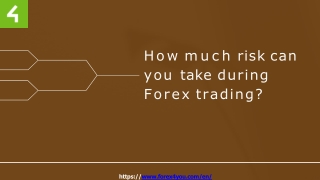 How much risk can you take during Forex trading