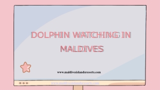 Dolphin Watching in Maldives