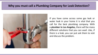 Why you must call a Plumbing Company for Leak Detection