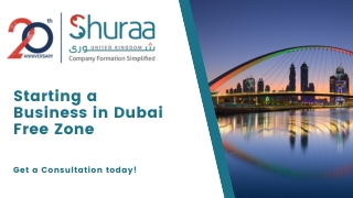 Starting a Business in Dubai Free Zone
