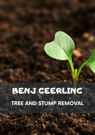 Benj Geerling - Tree and Stump Removal