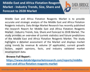 Middle East and Africa Flotation Reagents Market  - Industry Trends, Size, Share and Forecast to 2028 Market