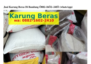 Jual Karung Beras Di Bandung 0882•1Ϭ02•2Կ10[WhatsApp]