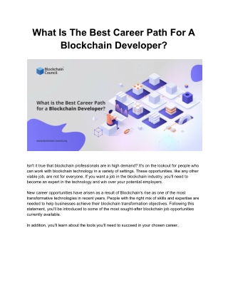 What Is The Best Career Path For A Blockchain Developer