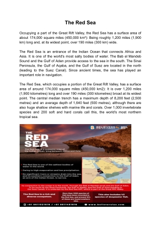 The Red Sea
