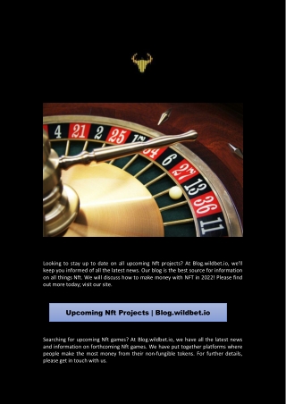 Upcoming Nft Projects | Blog.wildbet.io