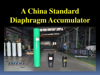 A China Standard Diaphragm Accumulator