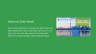 Debt Settlement Companies