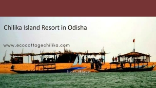 Luxurious Chilika Island Resort in Odisha