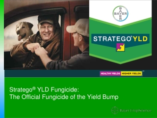Stratego YLD Corn and Soybean Fungicide - 2012 Brand Guide