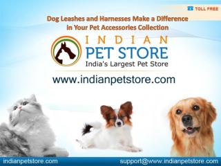 Dog Leashes and Harnesses Make a Difference to your Pet