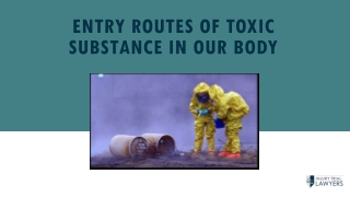 Entry Routes Of Toxic Substance In Our Body