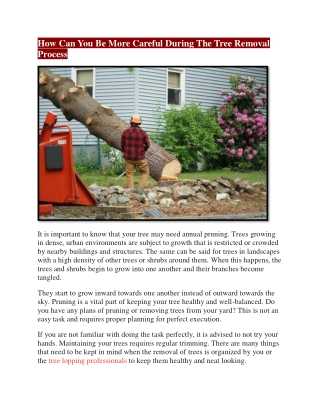 How Can You Be More Careful During The Tree Removal Process