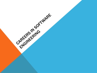 A Brief Discussion on Careers in Software Engineering